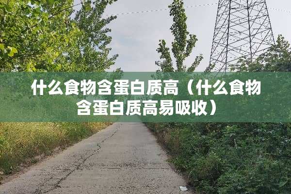 什么食物含蛋白质高（什么食物含蛋白质高易吸收）