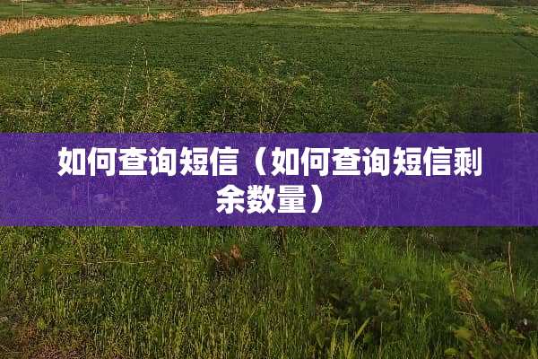 如何查询短信（如何查询短信剩余数量）
