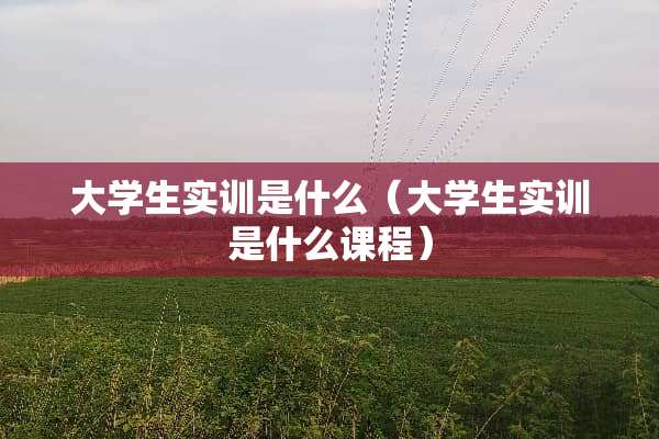 大学生实训是什么（大学生实训是什么课程）