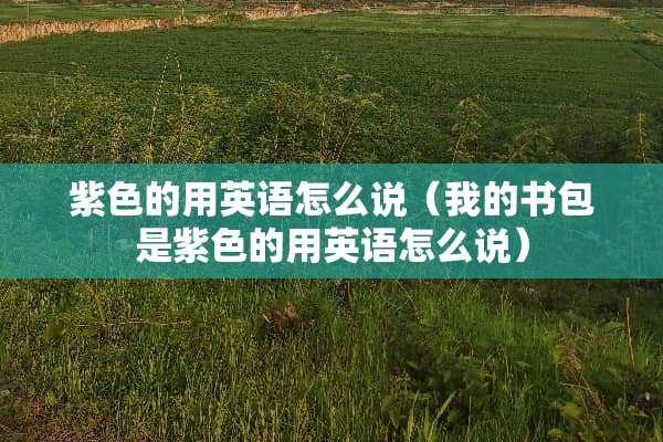 紫色的用英语怎么说（我的书包是紫色的用英语怎么说）