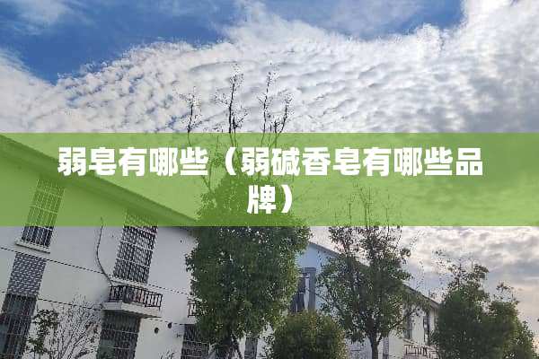 弱皂有哪些（弱碱香皂有哪些品牌）