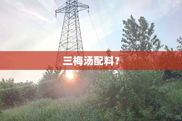 三梅汤配料？