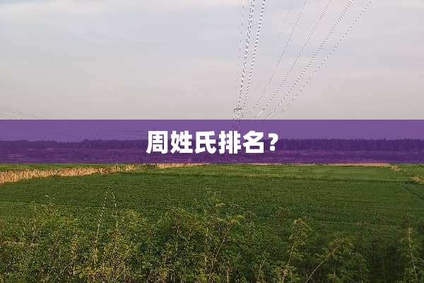周姓氏排名？