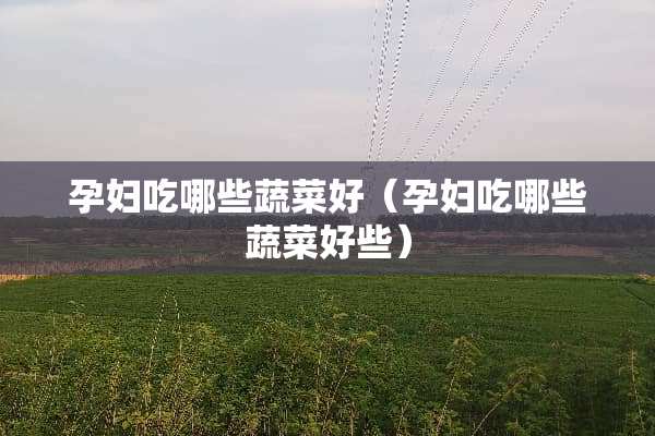 孕妇吃哪些蔬菜好（孕妇吃哪些蔬菜好些）