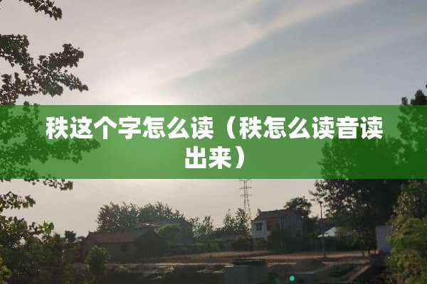 秩这个字怎么读（秩怎么读音读出来）