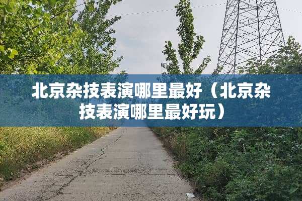 北京杂技表演哪里最好（北京杂技表演哪里最好玩）
