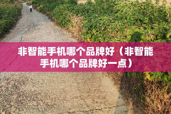 非智能手机哪个品牌好（非智能手机哪个品牌好一点）