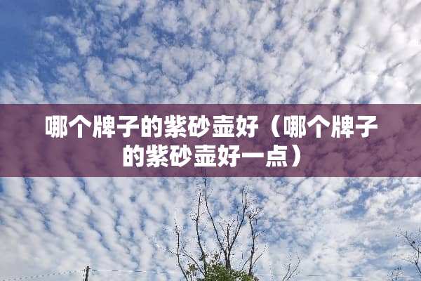 哪个牌子的紫砂壶好（哪个牌子的紫砂壶好一点）