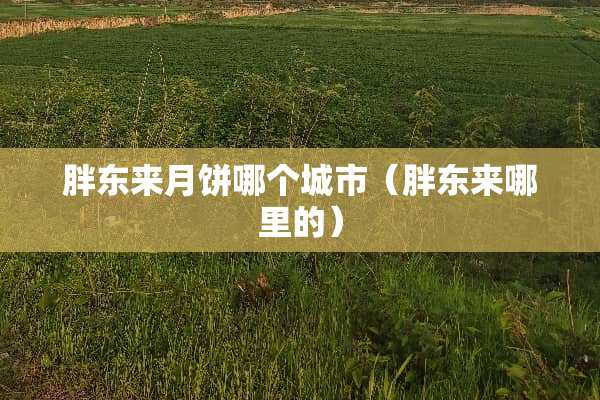 胖东来月饼哪个城市（胖东来哪里的）