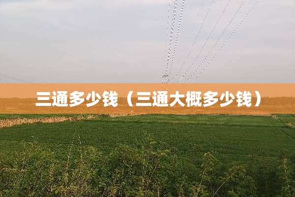 三通多少钱（三通大概多少钱）