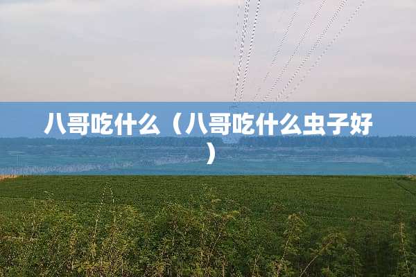 八哥吃什么（八哥吃什么虫子好）