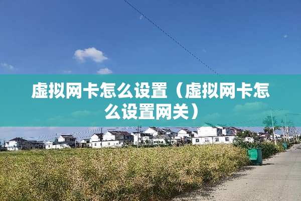 虚拟网卡怎么设置（虚拟网卡怎么设置网关）