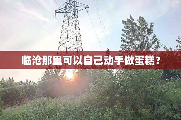 临沧那里可以自己动手做蛋糕？