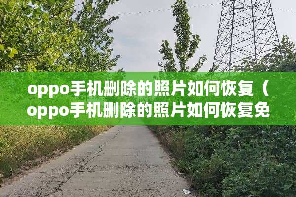 oppo手机删除的照片如何恢复（oppo手机删除的照片如何恢复免费）