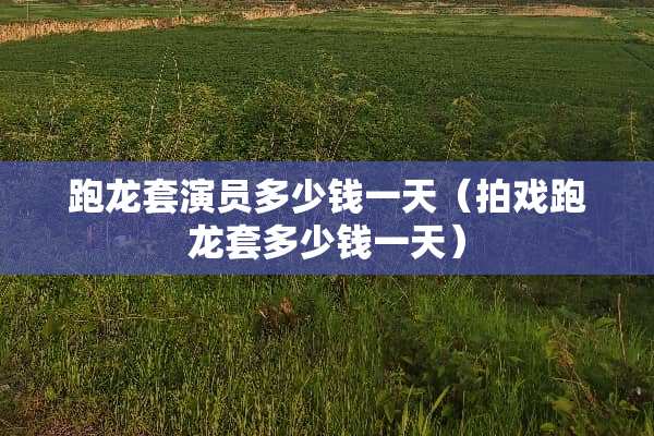 跑龙套演员多少钱一天（拍戏跑龙套多少钱一天）