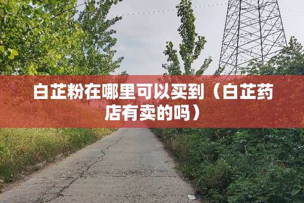 白芷粉在哪里可以买到（白芷药店有卖的吗）