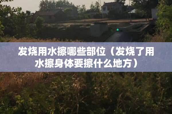 发烧用水擦哪些部位（发烧了用水擦身体要擦什么地方）