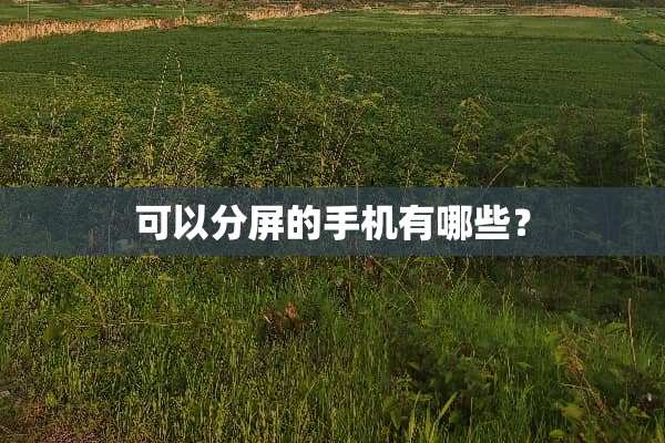 可以分屏的手机有哪些？