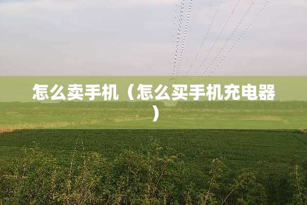 怎么卖手机（怎么买手机充电器）