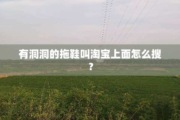 有洞洞的拖鞋叫淘宝上面怎么搜？