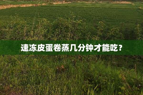 速冻皮蛋卷蒸几分钟才能吃？