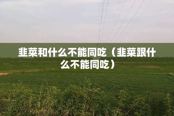 韭菜和什么不能同吃（韭菜跟什么不能同吃）