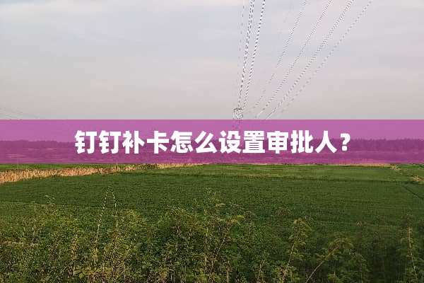 钉钉补卡怎么设置审批人？