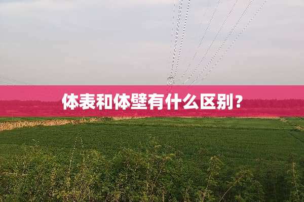 体表和体壁有什么区别？
