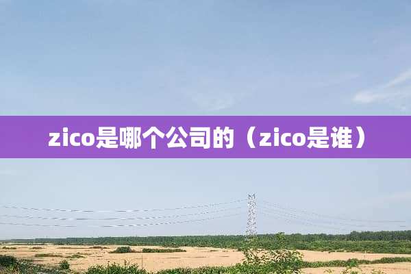 zico是哪个公司的（zico是谁）