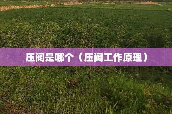压阀是哪个（压阀工作原理）