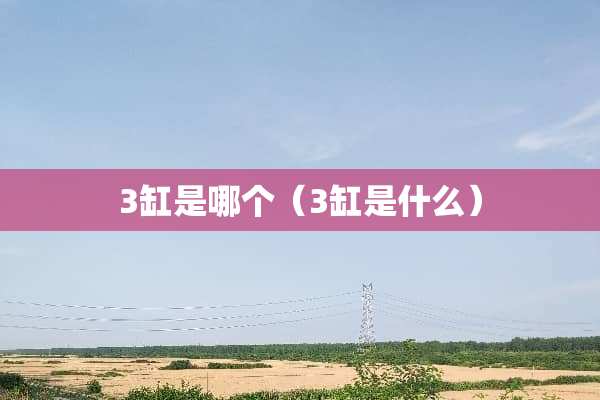 3缸是哪个（3缸是什么）