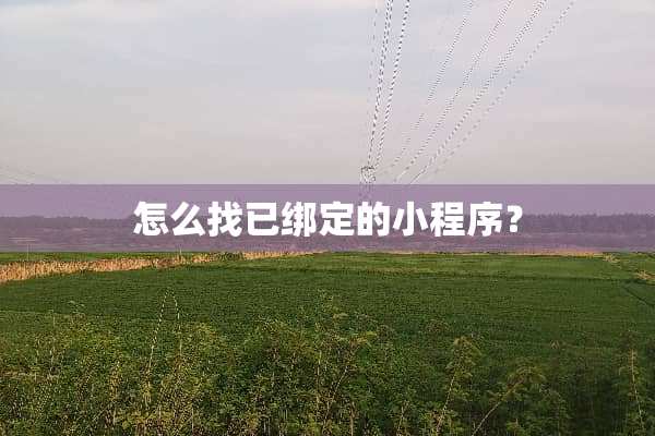 怎么找已绑定的小程序？
