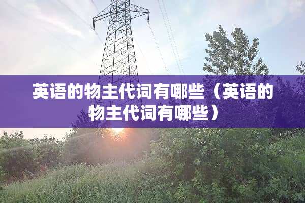 英语的物主代词有哪些（英语的物主代词有哪些）