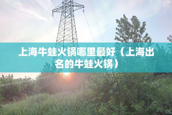 上海牛蛙火锅哪里最好（上海出名的牛蛙火锅）