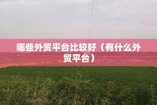哪些外贸平台比较好（有什么外贸平台）