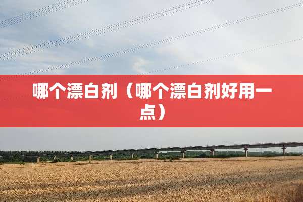 哪个漂白剂（哪个漂白剂好用一点）