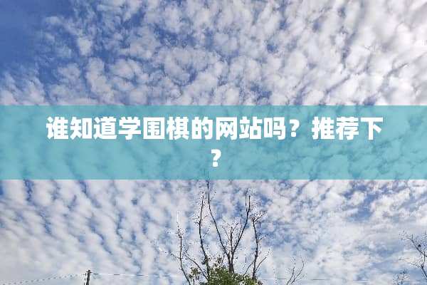 谁知道学围棋的网站吗？推荐下？