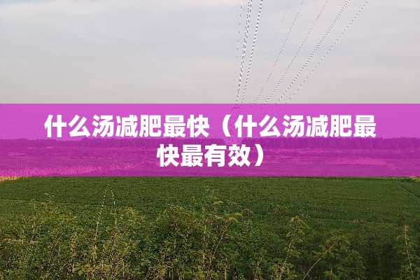 什么汤减肥最快（什么汤减肥最快最有效）
