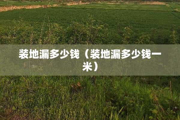 装地漏多少钱（装地漏多少钱一米）