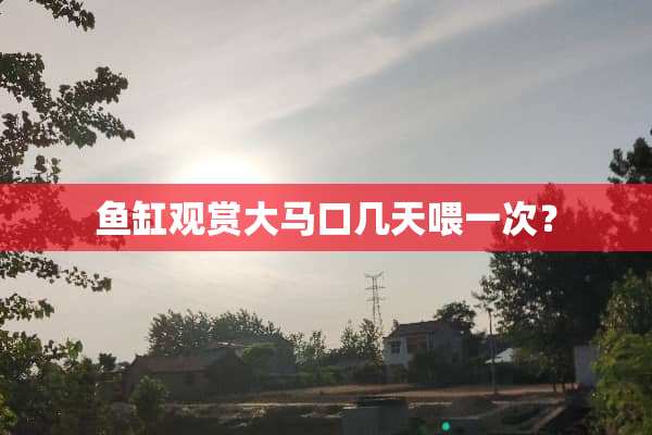 鱼缸观赏大马口几天喂一次？