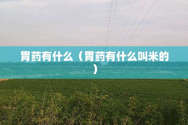 胃药有什么（胃药有什么叫米的）