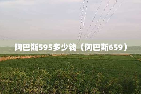 阿巴斯595多少钱（阿巴斯659）