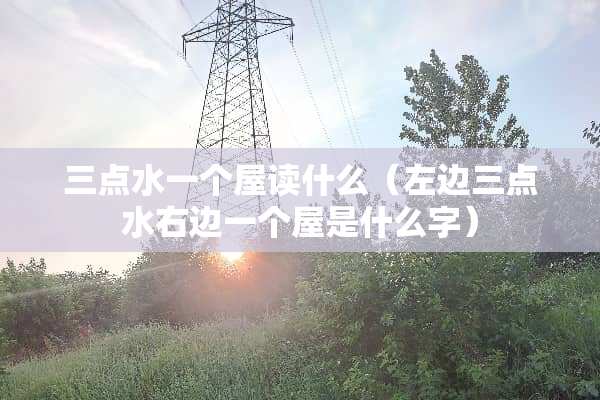 三点水一个屋读什么（左边三点水右边一个屋是什么字）