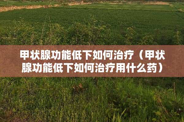 甲状腺功能低下如何治疗（甲状腺功能低下如何治疗用什么药）