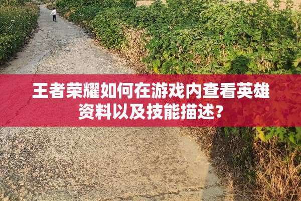 王者荣耀如何在游戏内查看英雄资料以及技能描述？