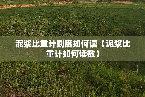 泥浆比重计刻度如何读（泥浆比重计如何读数）