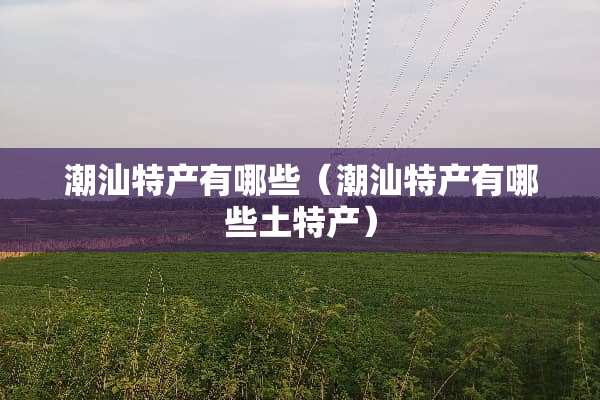 潮汕特产有哪些（潮汕特产有哪些土特产）