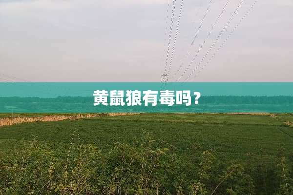 黄鼠狼有毒吗？