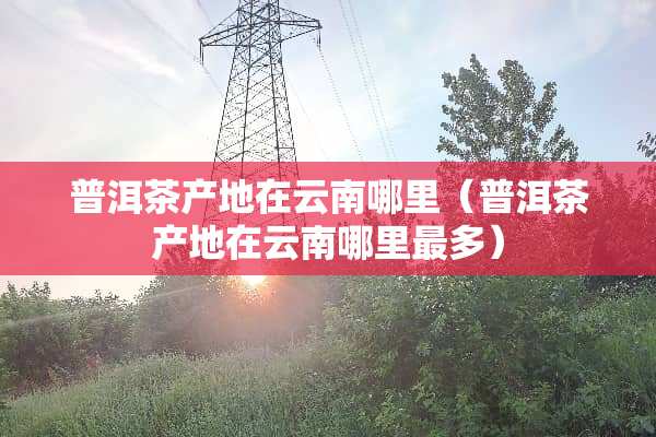 普洱茶产地在云南哪里（普洱茶产地在云南哪里最多）