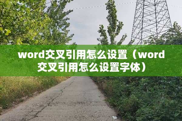 word交叉引用怎么设置（word交叉引用怎么设置字体）